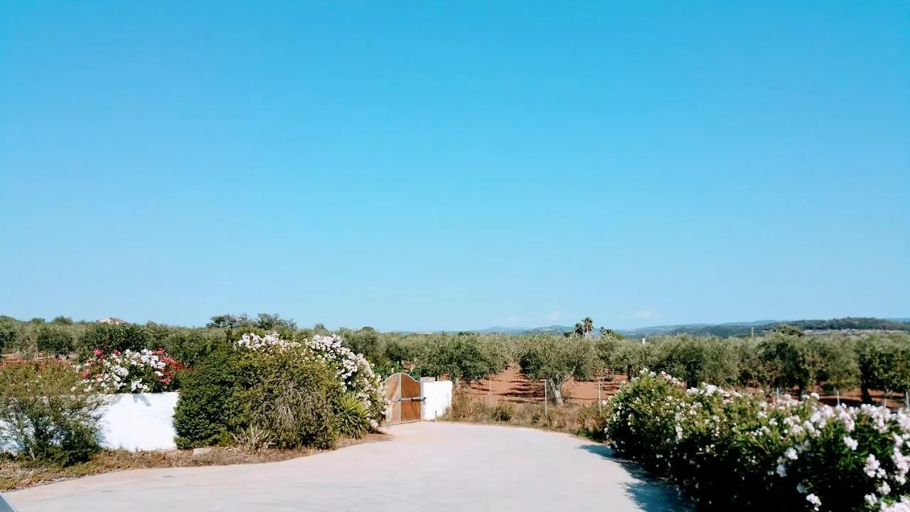 Villa Rafael Con Piscina, Iun P4098 Alghero